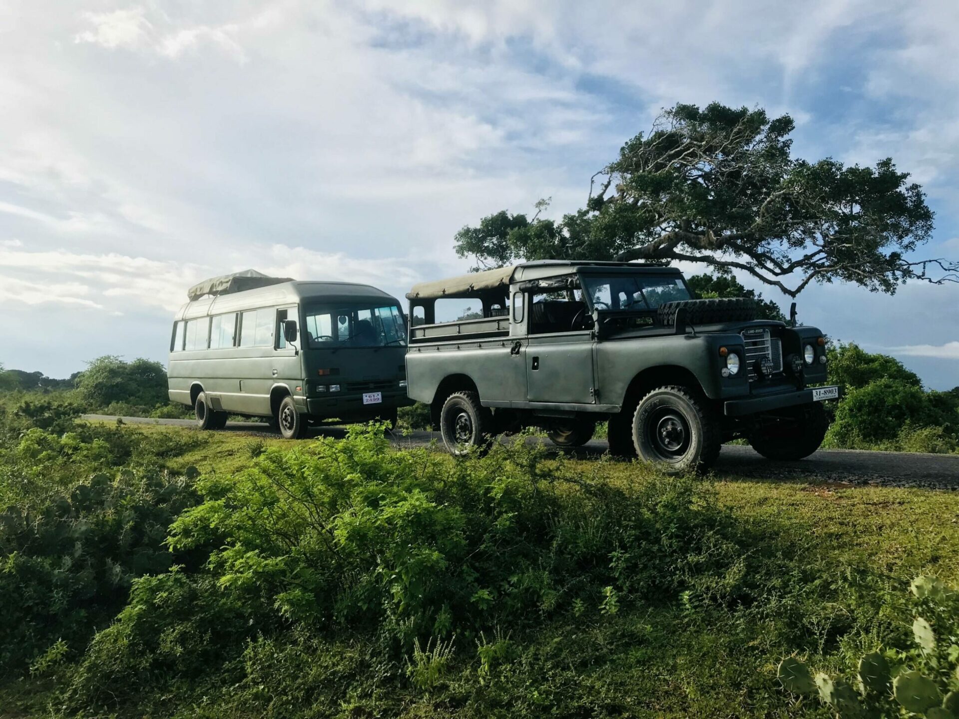 Hibiscus Garden Resort Tissamaharama Rondreis Sri Lanka Vakantie Original Asia