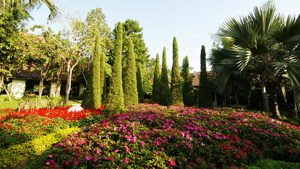 Hotel Laluna Chiangrai Rondreis Thailand Vakantie Original Asia