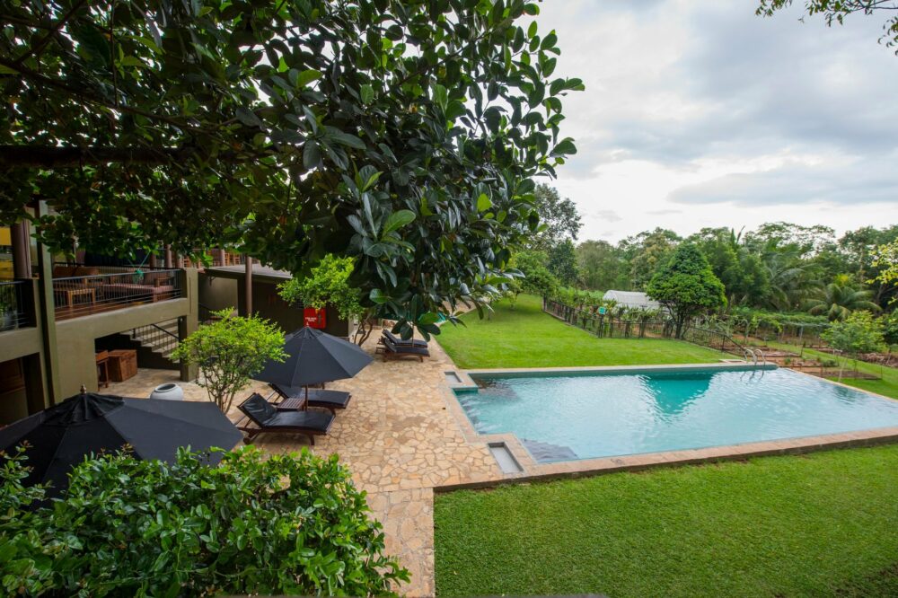 Kalus Hideaway Udawalawe Sri Lanka original asia rondreis sri lanka malediven pool1