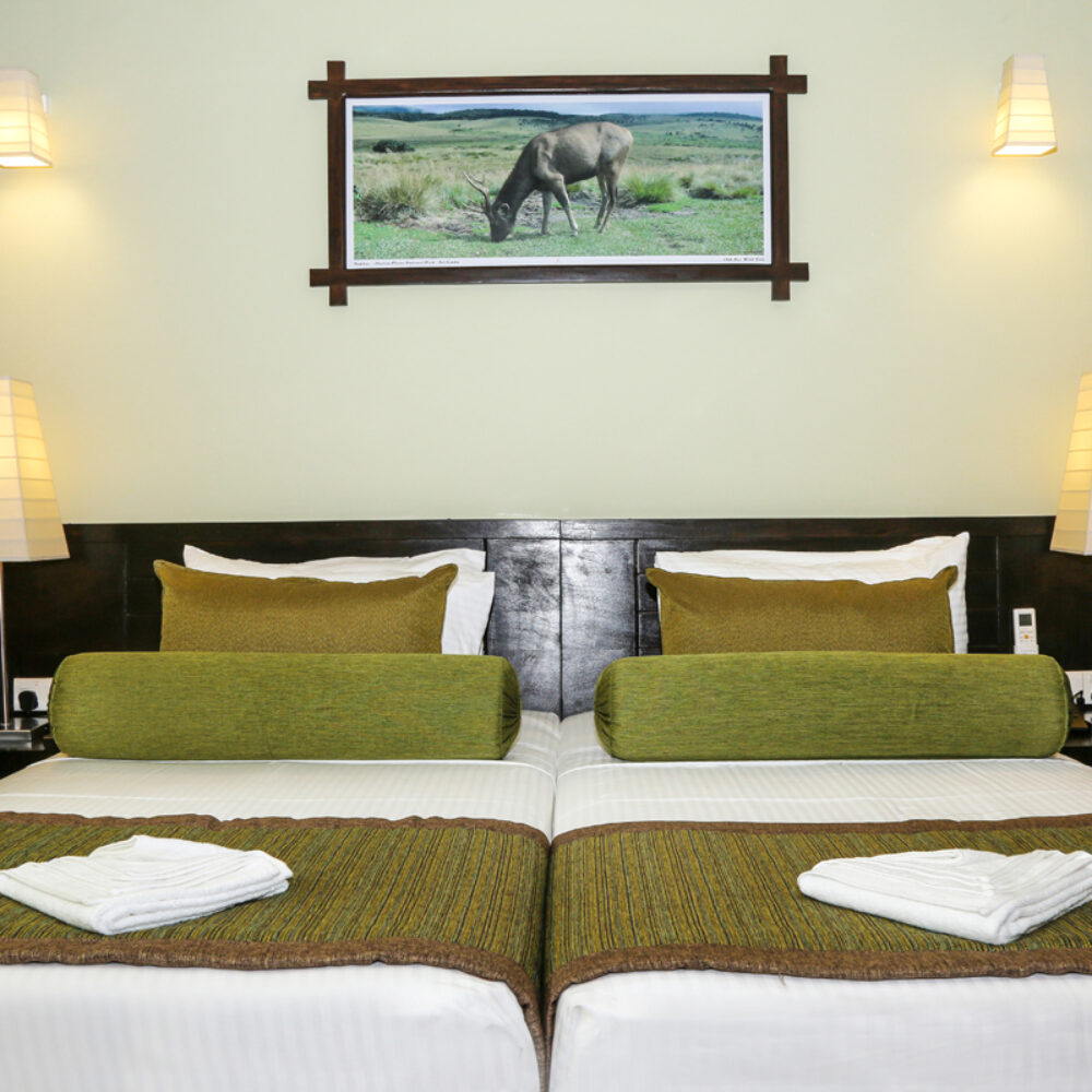 Oak Ray Wild Yala Rondreis Sri Lanka Vakantie Original Asia