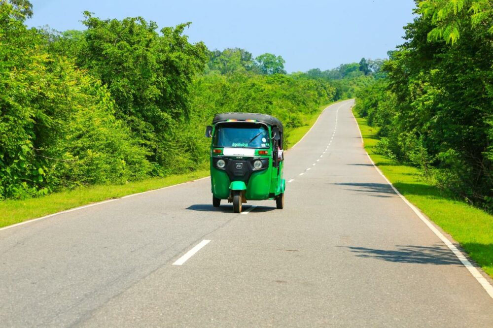 Oak Ray Wild Yala Rondreis Sri Lanka Vakantie Original Asia