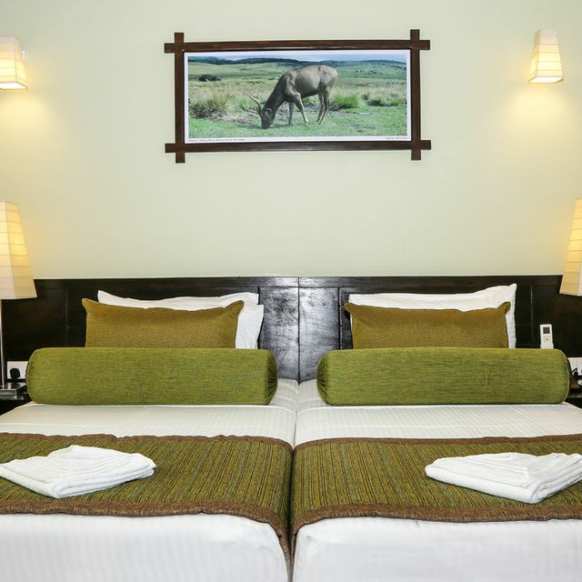 Oak Ray Wild Yala Sri Lanka Tissamaharama original asia rondreis sri lanka malediven kamer2