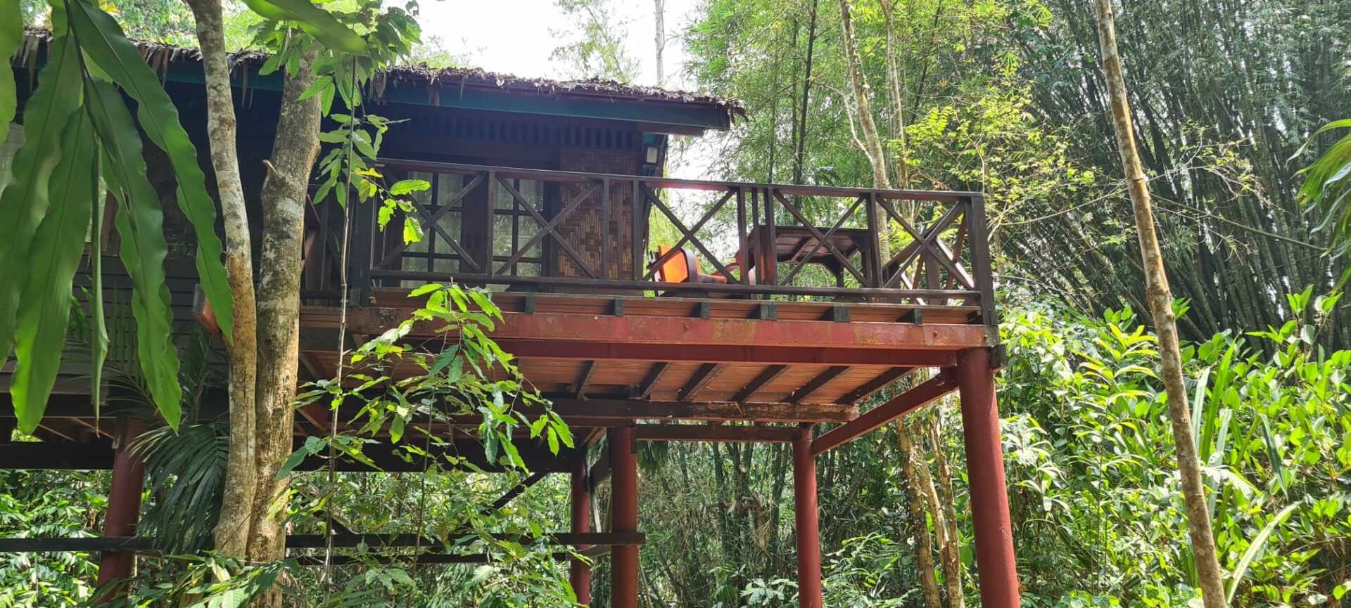 Our Jungle House Khao Sok Hotel Rondreis Thailand Vakantie Original Asia