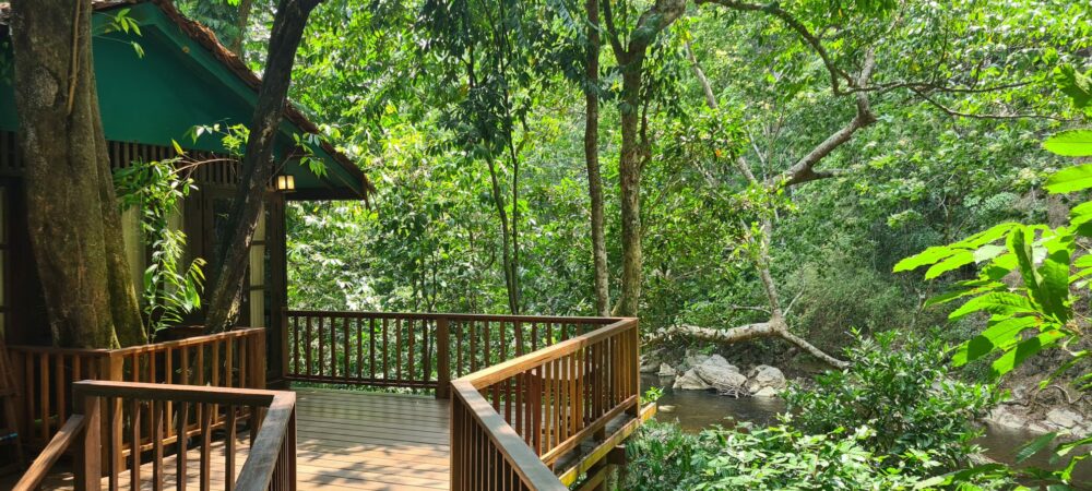 Our Jungle House Khao Sok Hotel Rondreis Thailand Vakantie Original Asia