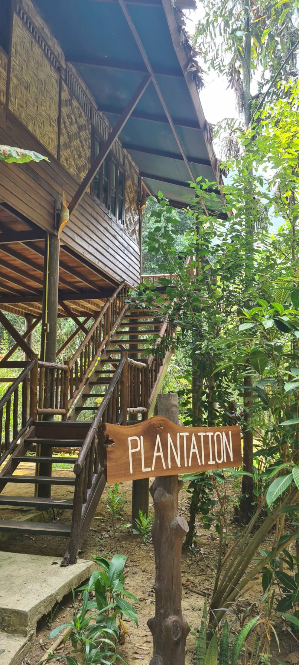 Our Jungle House Khao Sok Hotel Rondreis Thailand Vakantie Original Asia