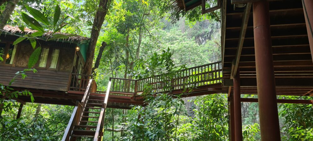Our Jungle House Khao Sok Hotel Rondreis Thailand Vakantie Original Asia