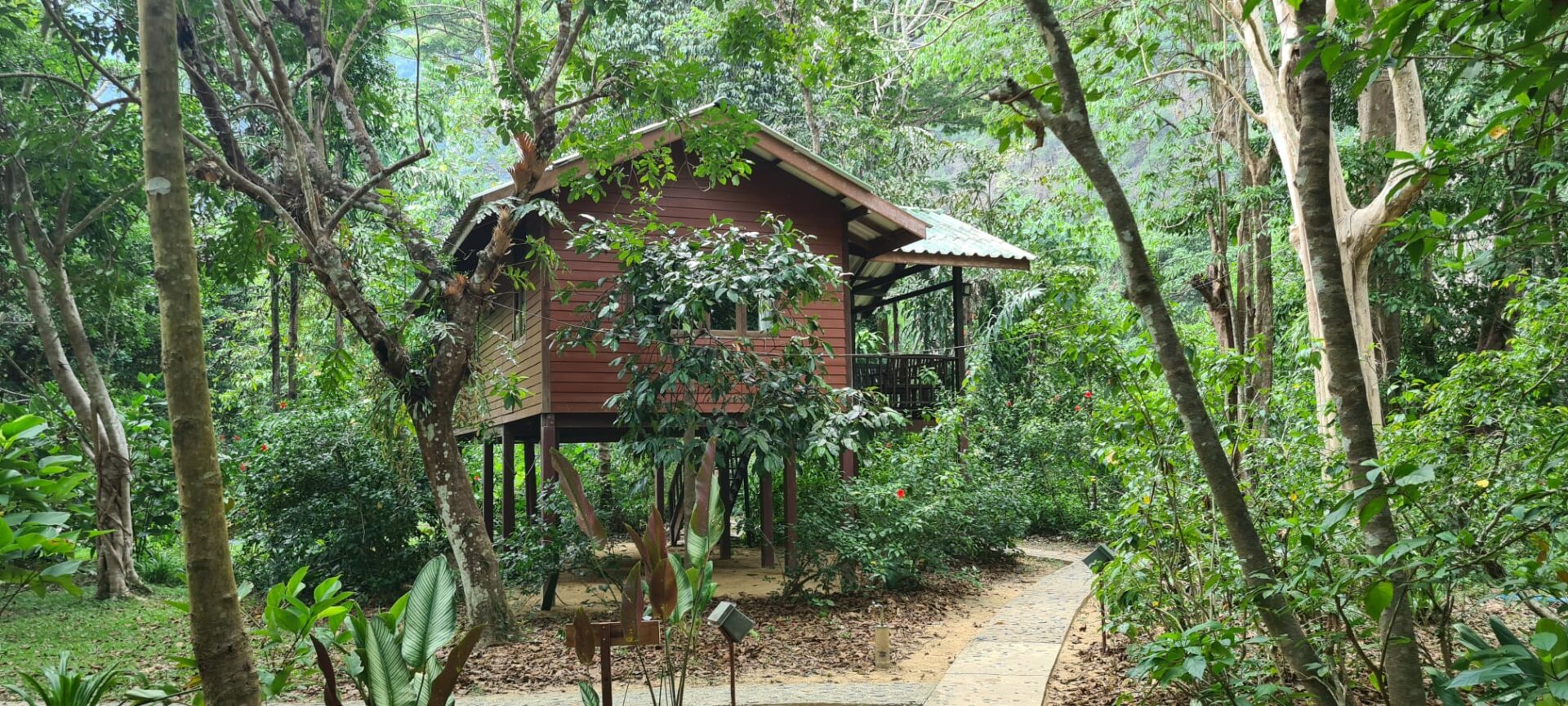 Our Jungle House Khao Sok Hotel Rondreis Thailand Vakantie Original Asia