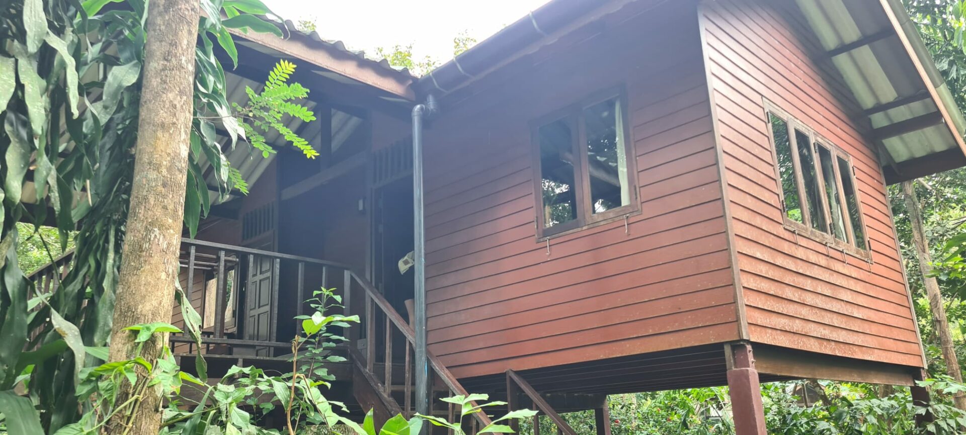 Our Jungle House Khao Sok Hotel Rondreis Thailand Vakantie Original Asia