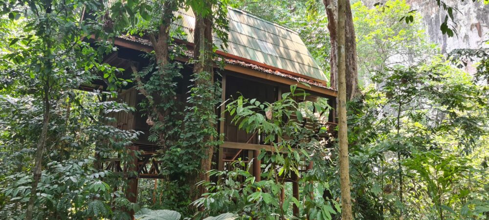 Our Jungle House Khao Sok Hotel Rondreis Thailand Vakantie Original Asia