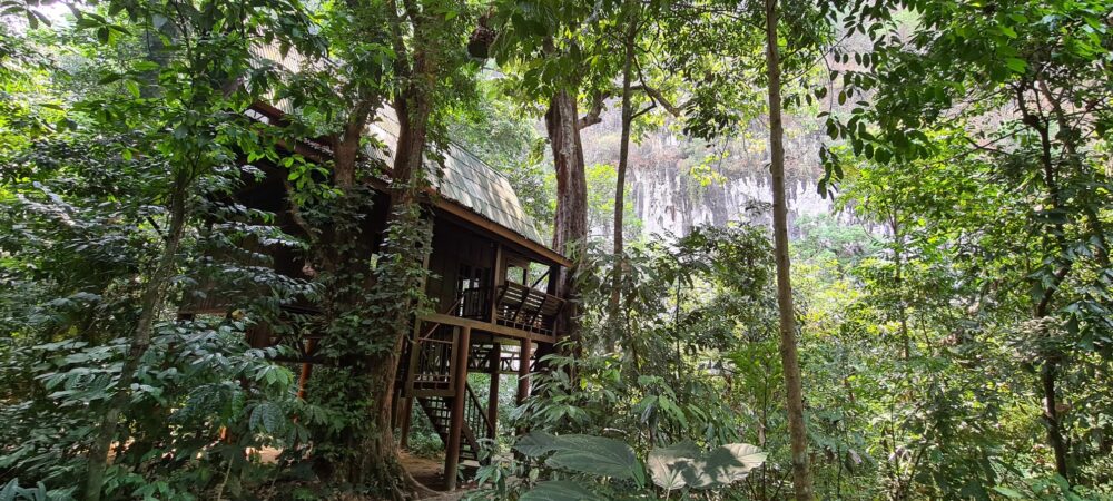 Our Jungle House Khao Sok Hotel Rondreis Thailand Vakantie Original Asia