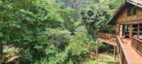 Our Jungle House Khao Sok Hotel Rondreis Thailand Vakantie Original Asia