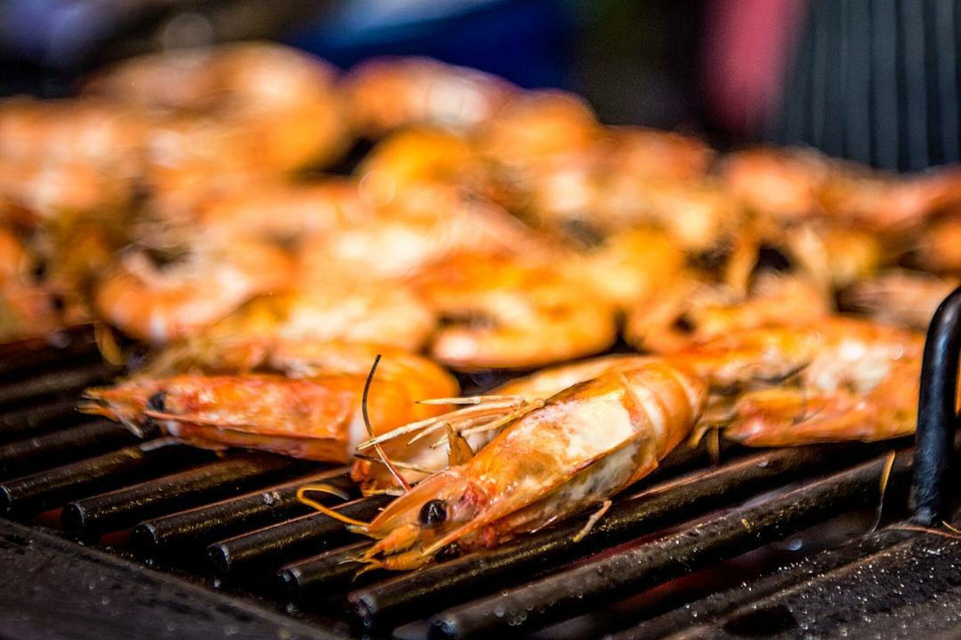 P.P. Erawan Palms Resort Koh Phi Phi Hotel Rondreis Thailand Vakantie Original Asia