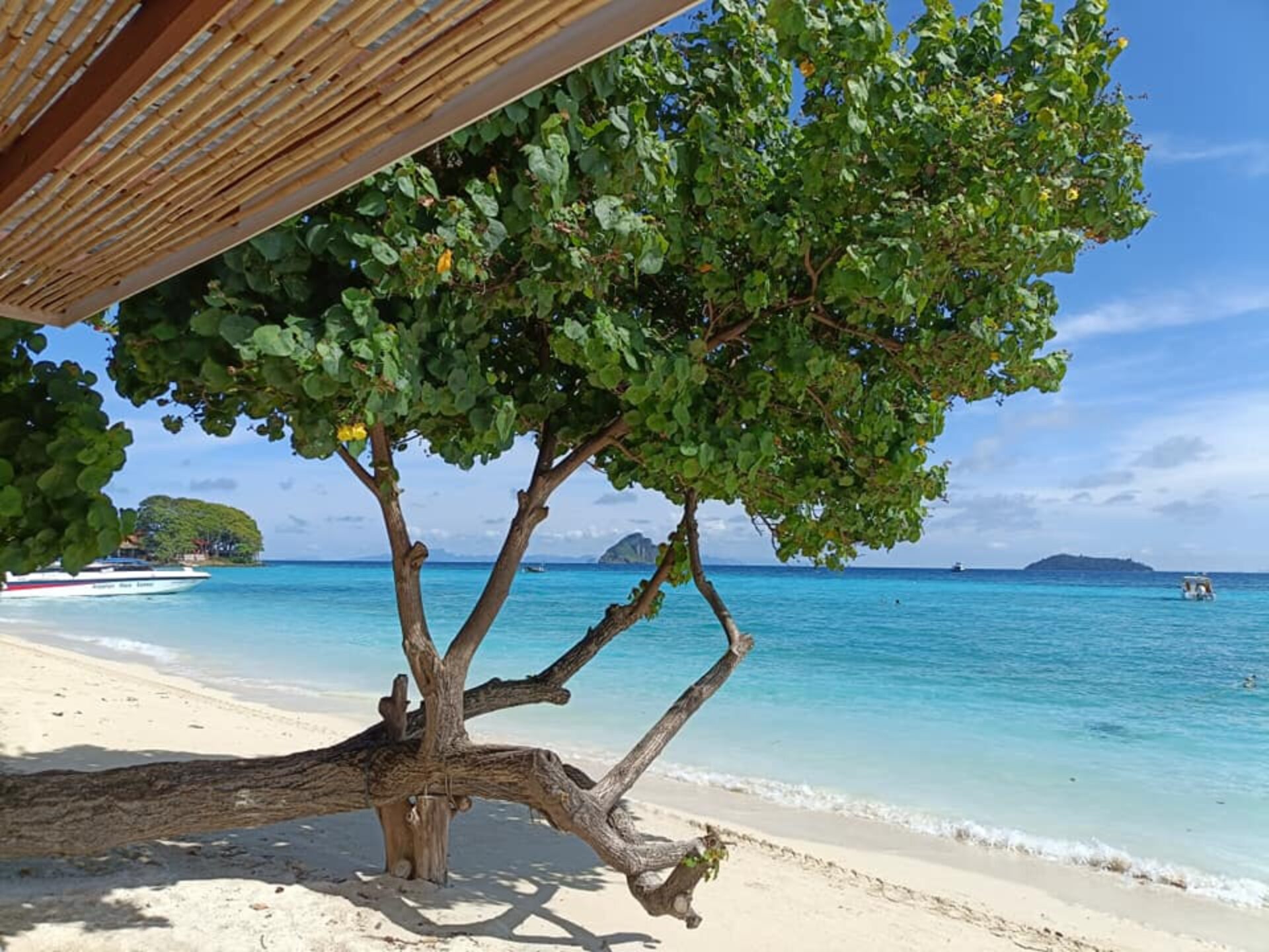 P.P. Erawan Palms Resort Koh Phi Phi Hotel Rondreis Thailand Vakantie Original Asia