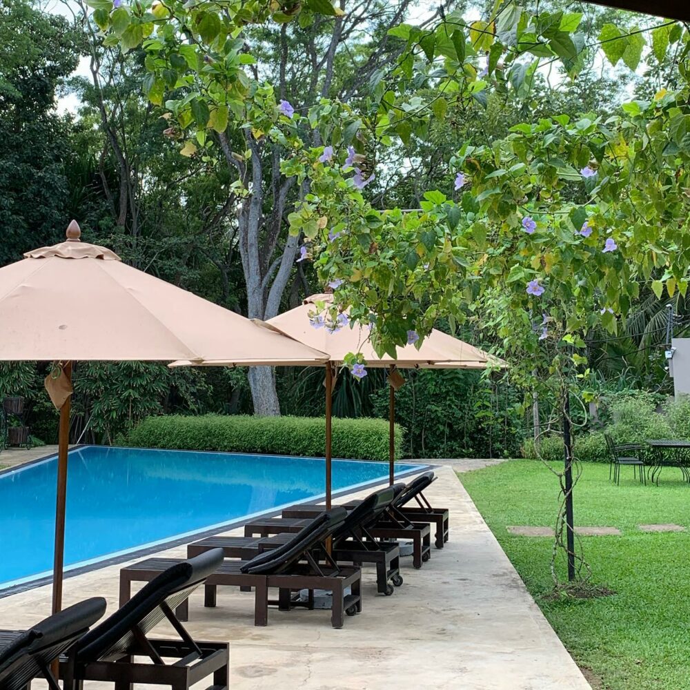 Palm Paradise Cabanas Tangalle Sri Lanka original asia rondreis sri lanka malediven zwembad