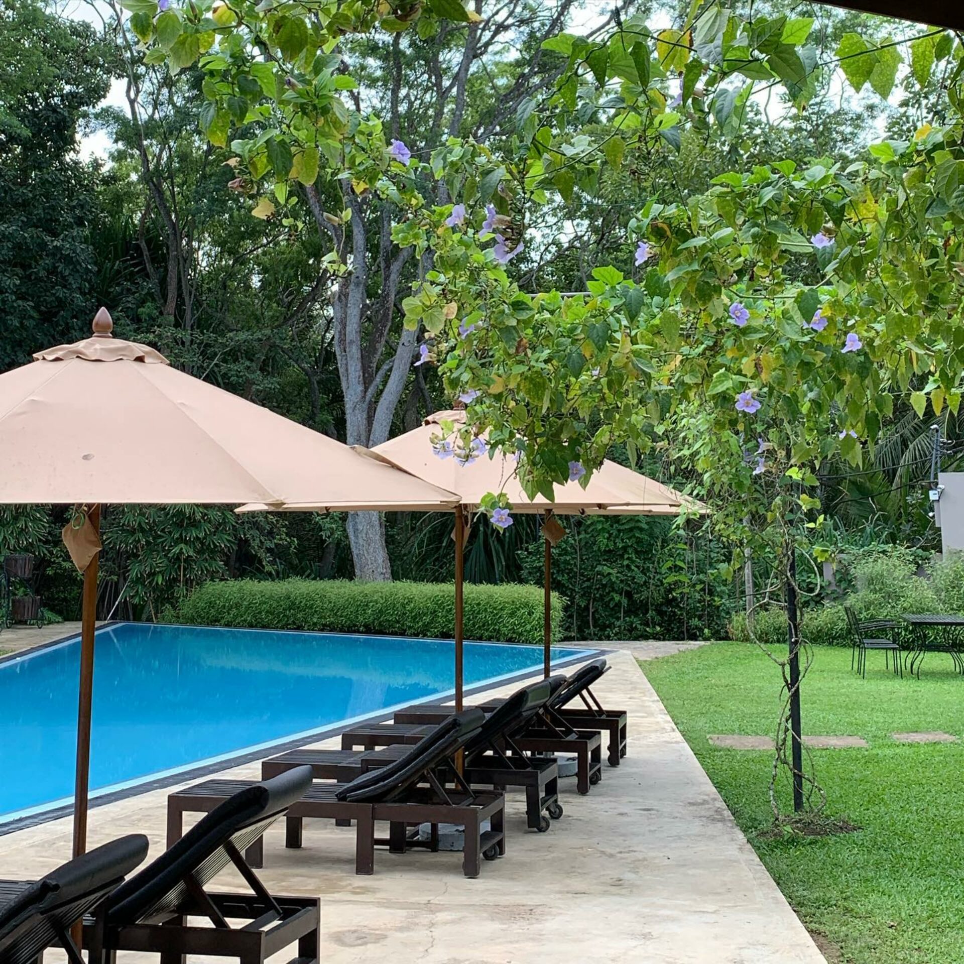 Palm Paradise Cabanas Tangalle Sri Lanka original asia rondreis sri lanka malediven zwembad