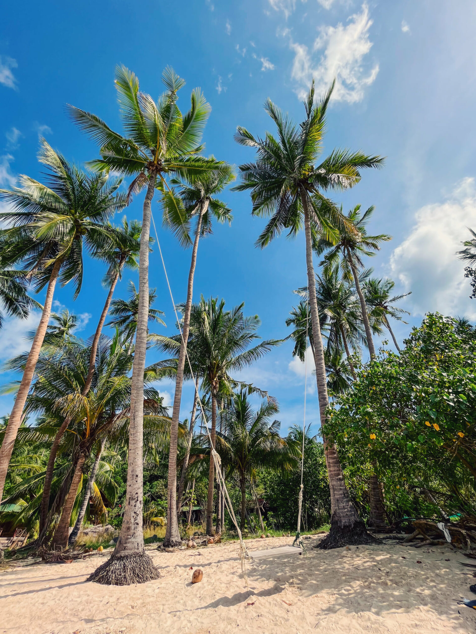 Sensi Paradise Beach Resort Koh Tao Rondreis Thailand Vakantie Original Asia