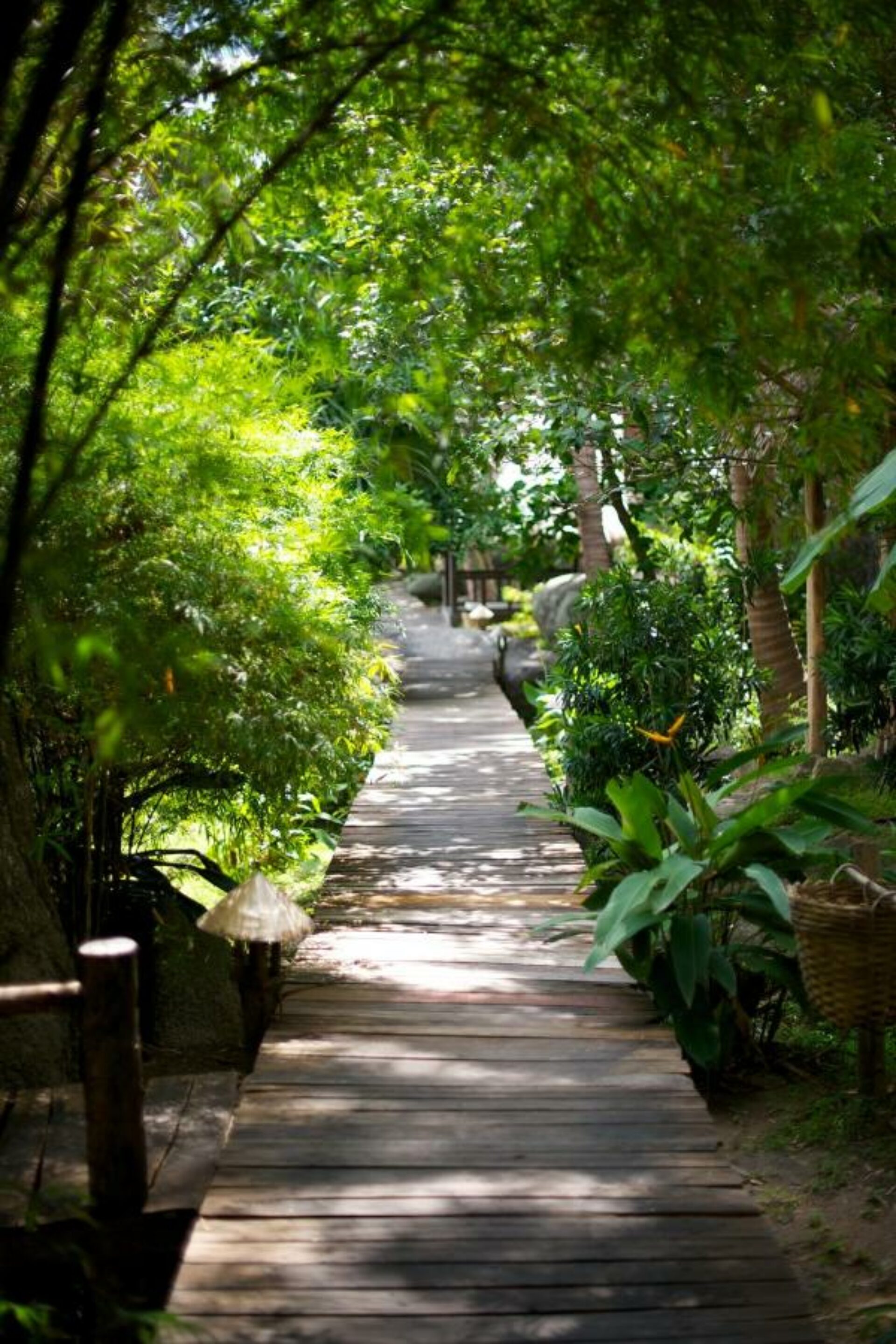 Sensi Paradise Beach Resort Koh Tao Rondreis Thailand Vakantie Original Asia