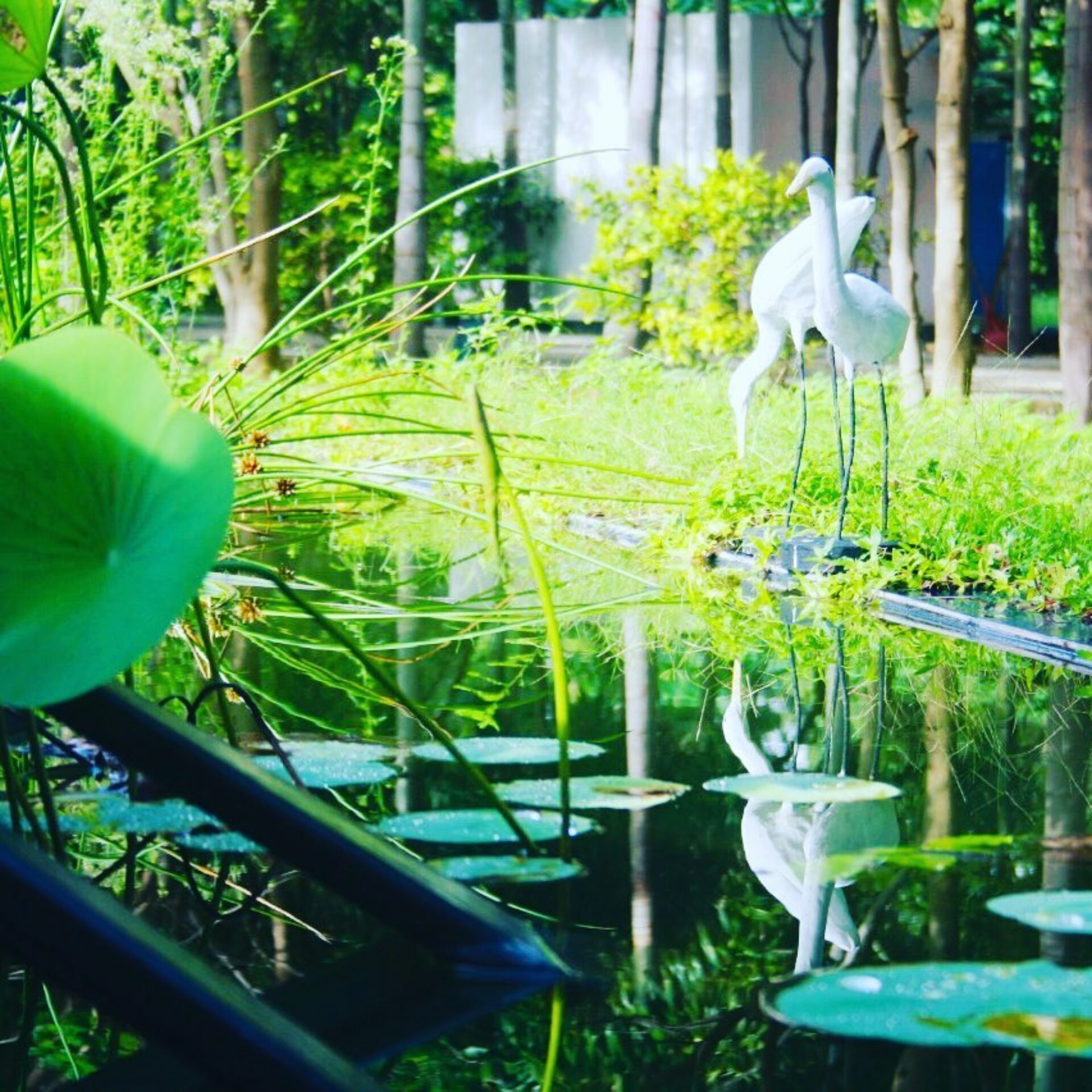 Skandig Beach Resort Sri Lanka trincomalee original asia rondreis sri lanka malediven tuin