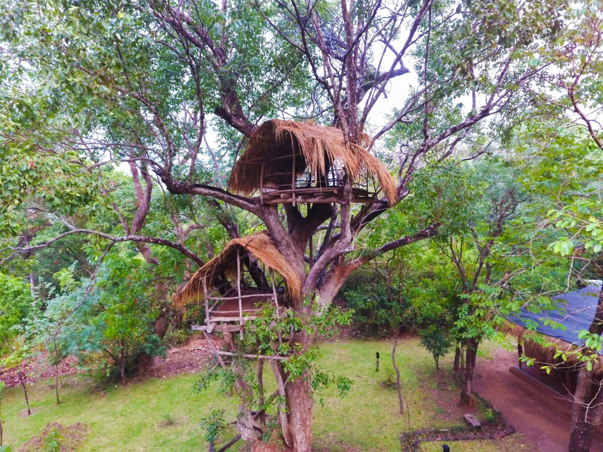 The Other Corner Sri Lanka original asia rondreis sri lanka malediven high