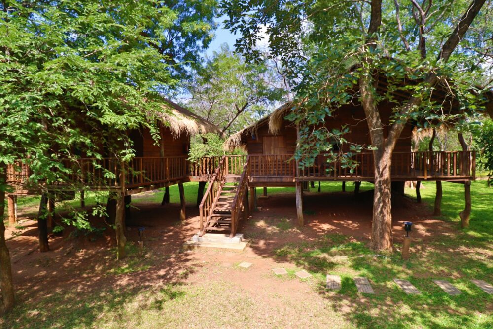 Ambasewana Resort Treehouse Culturele Driehoek Habarana Rondreis Sri Lanka Vakantie Original Asia