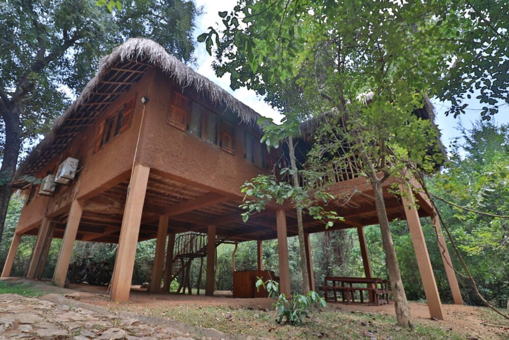 The Other Corner Sri Lanka original asia rondreis sri lanka malediven palen