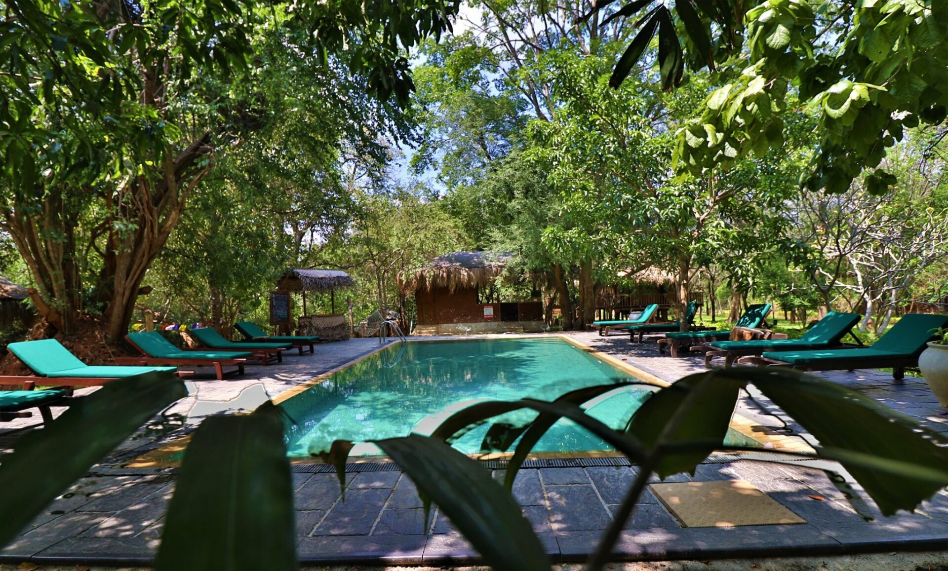 The Other Corner Sri Lanka original asia rondreis sri lanka malediven pool2