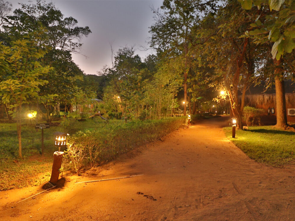 The Other Corner Trincomalee Rondreis Sri Lanka Vakantie Original Asia