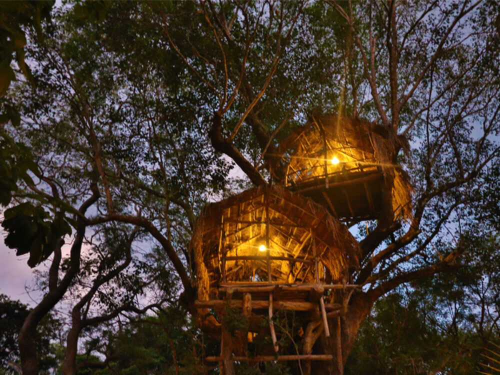 The Other Corner Trincomalee Rondreis Sri Lanka Vakantie Original Asia