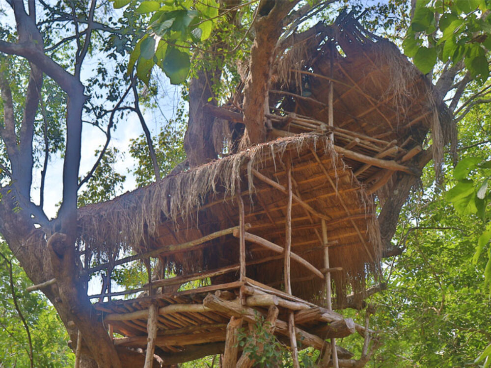 The Other Corner Trincomalee Rondreis Sri Lanka Vakantie Original Asia