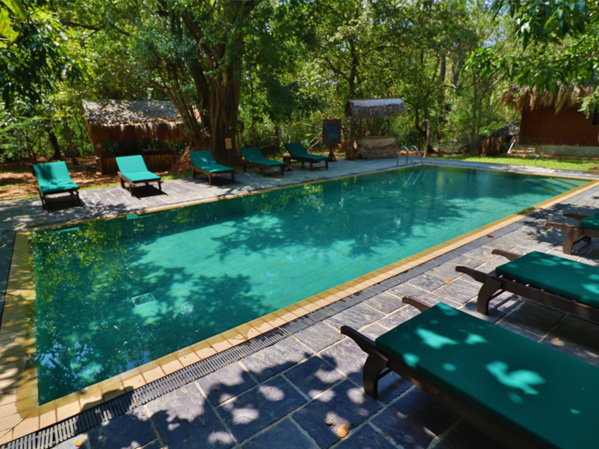 The Other Corner Trincomalee Rondreis Sri Lanka Vakantie Original Asia