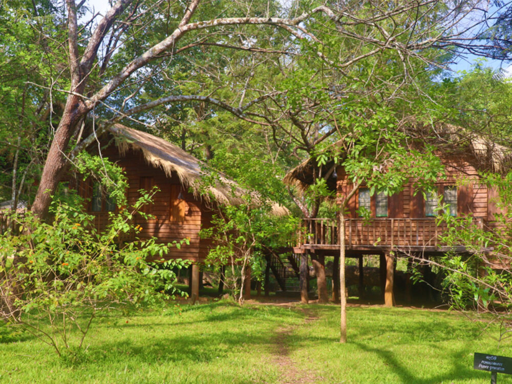 The Other Corner Trincomalee Rondreis Sri Lanka Vakantie Original Asia