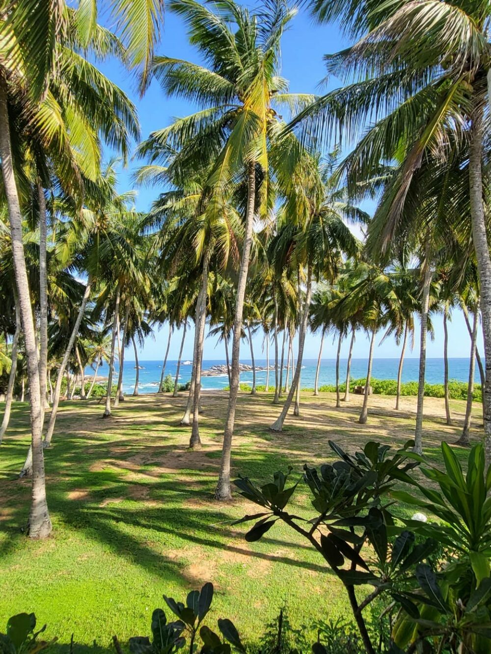 Turtle Bay Hotel Tangalle Rondreis Sri Lanka Vakantie Original Asia