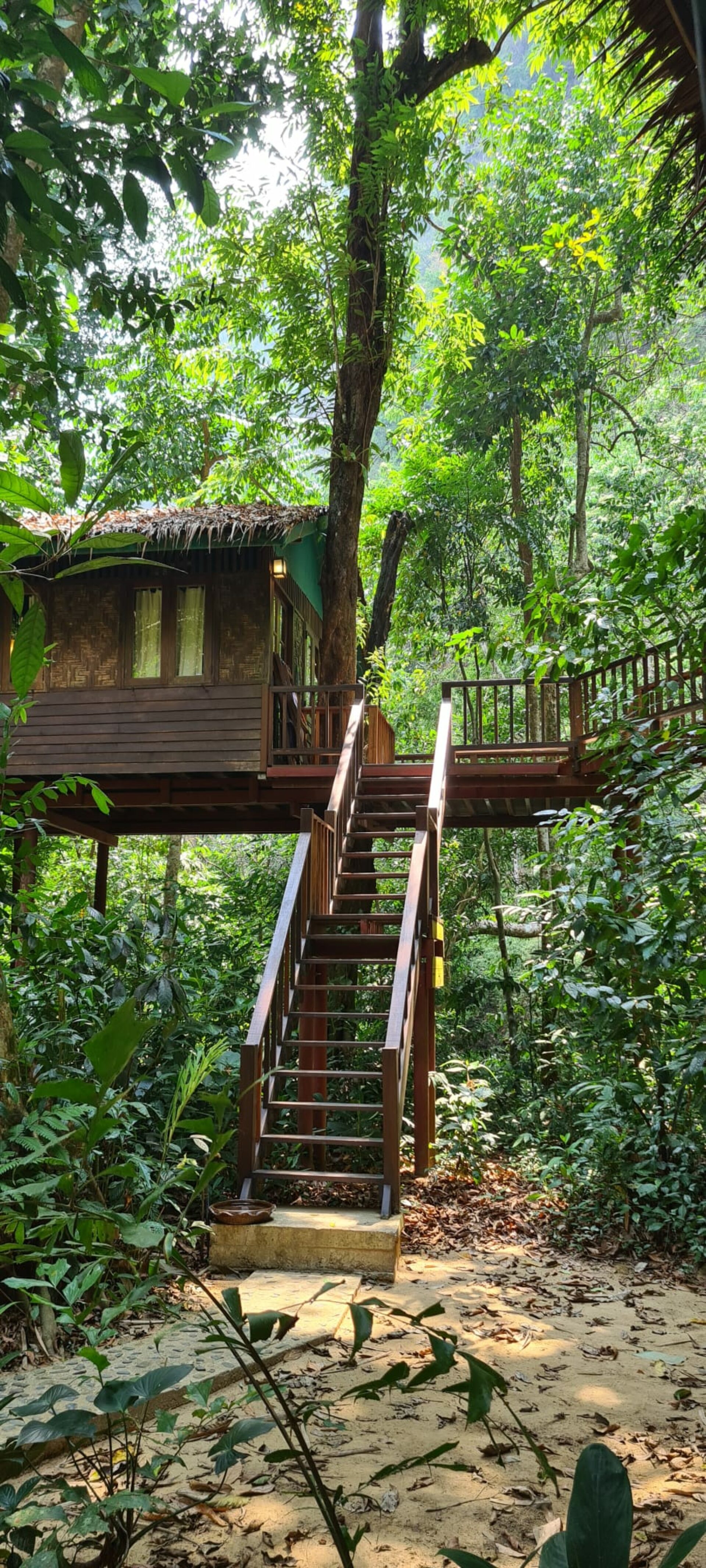 Our Jungle House Khao Sok Hotel Rondreis Thailand Vakantie Original Asia