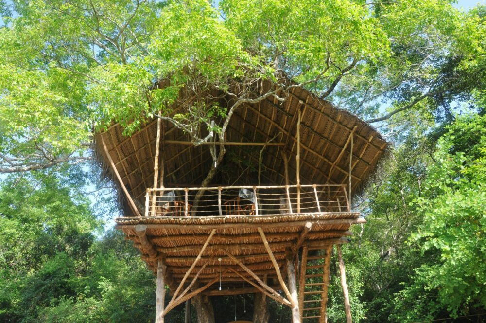 Ambasewana Resort Treehouse Culturele Driehoek Habarana Rondreis Sri Lanka Vakantie Original Asia