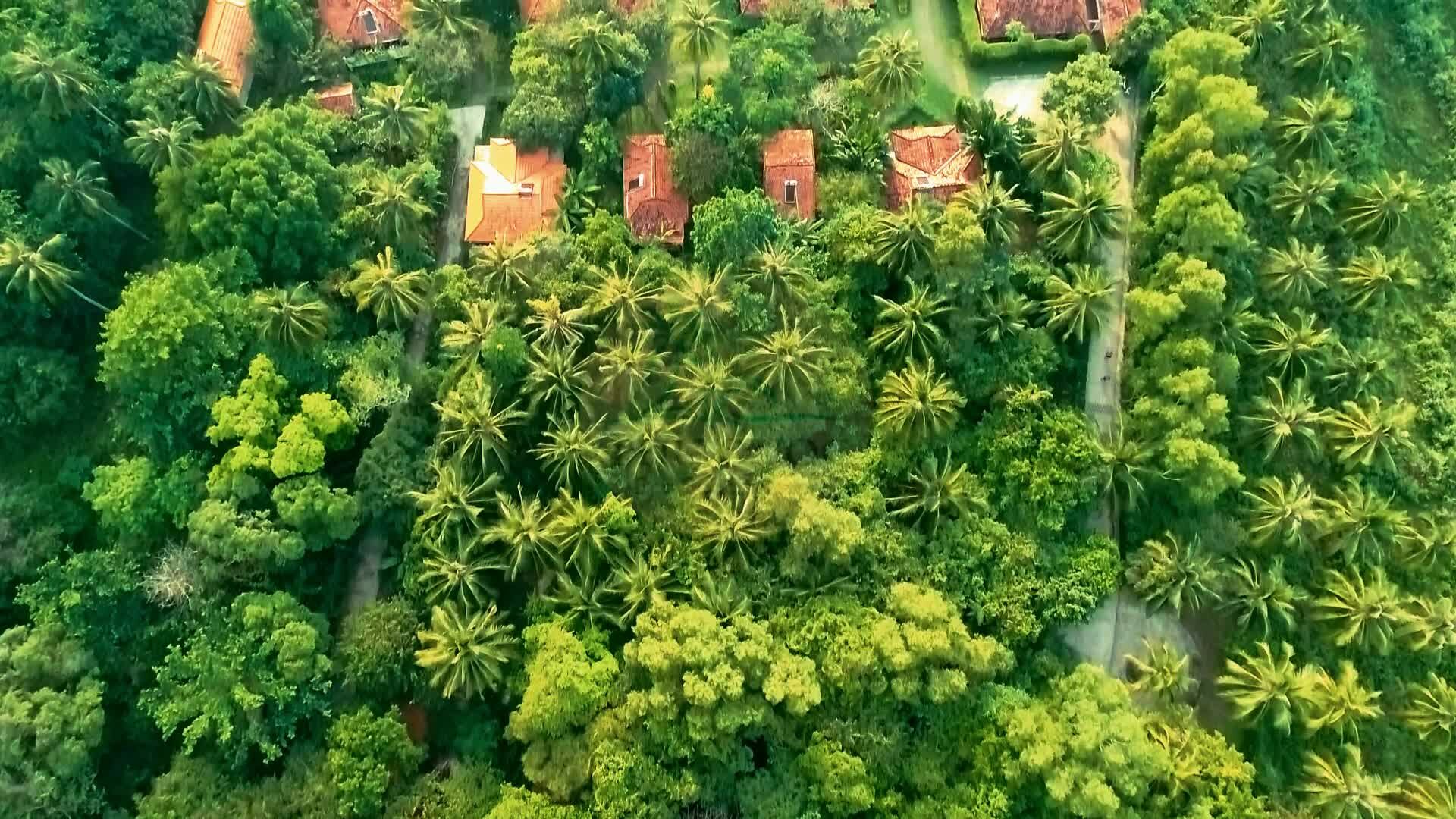 Phu Quoc Eco Beach Resort Phu Quoc Rondreis Vietnam Vakantie Original Asia