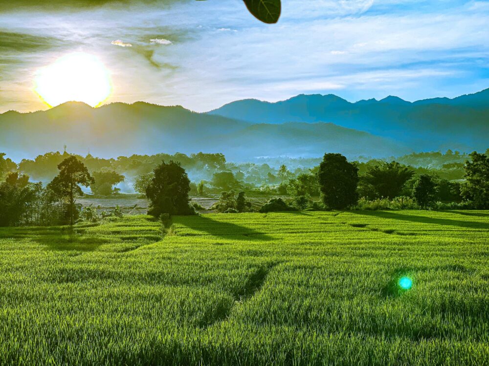 Home Original Asia Thailand Rondreis Vakantie Zuid Phang Nga Bay Hong Island Krabi mooi algemeen