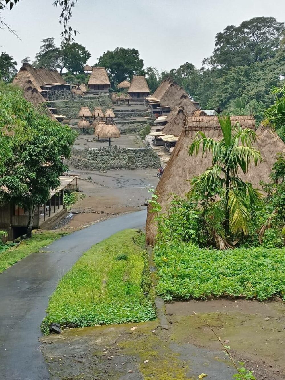 Hotel Happy Happy Bajawa Rondreis Indonesia Vakantie Original Asia