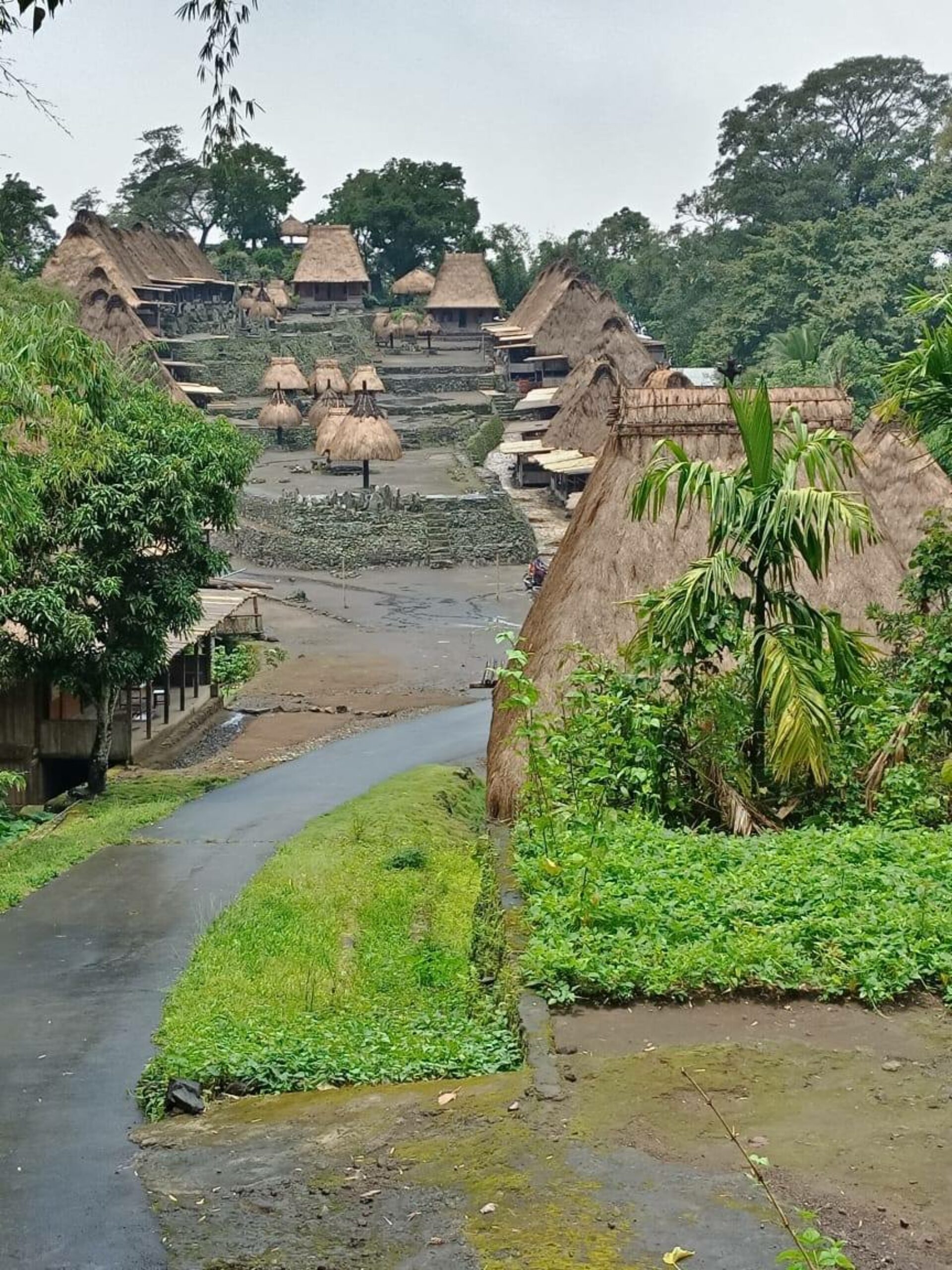 Hotel Happy Happy Bajawa Rondreis Indonesia Vakantie Original Asia