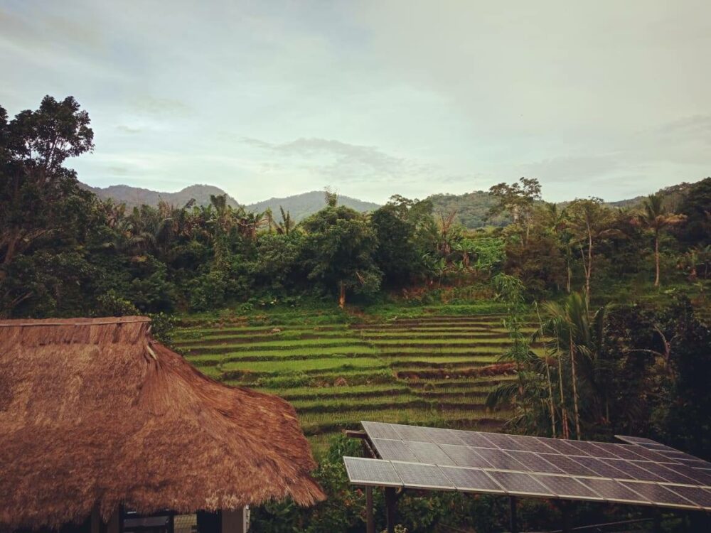 Hotel Happy Happy Bajawa Rondreis Indonesia Vakantie Original Asia