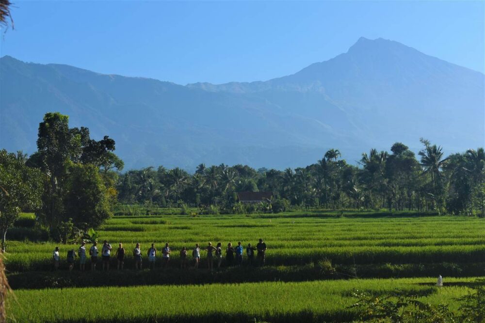 Flush Harmony Tetebatu Lombok Rondreis Indonesia Vakantie Original Asia